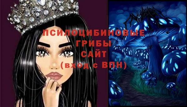 ALPHA-PVP Алексеевка