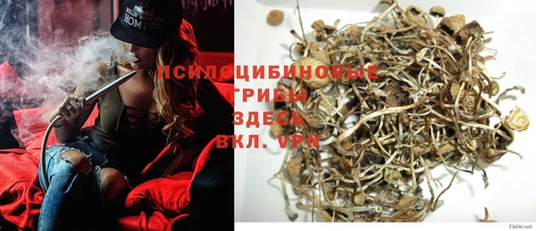 гашик Алзамай