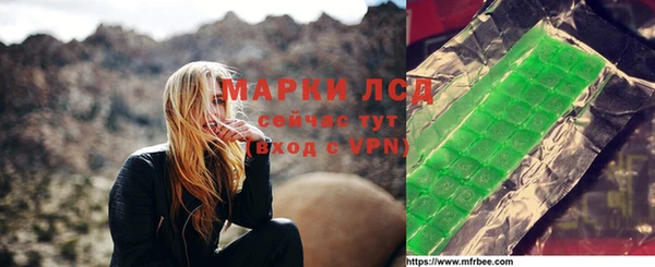 гашик Алзамай