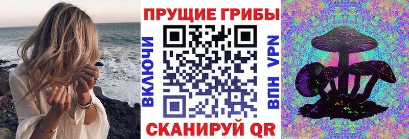 мега рабочий сайт  где купить   Томмот  Псилоцибиновые грибы Cubensis 